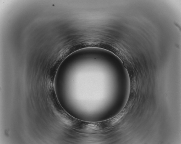 X0000094930176200711291342