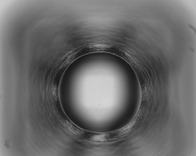 X0000094930178200711291342