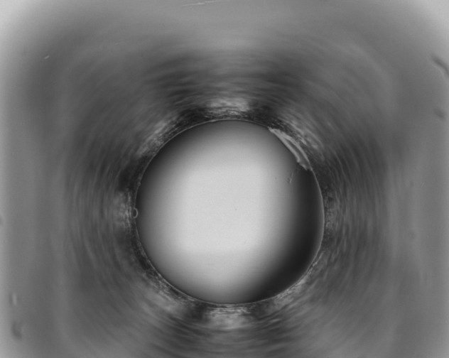 X0000094930179200711291342