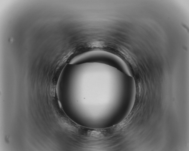 X0000094930180200711291343