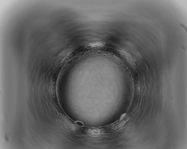 X0000094930181200711291343