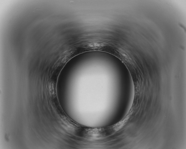 X0000094930182200711291343