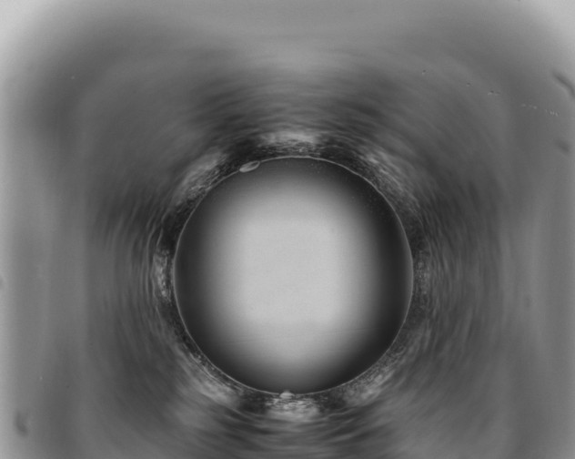 X0000094930185200711291343