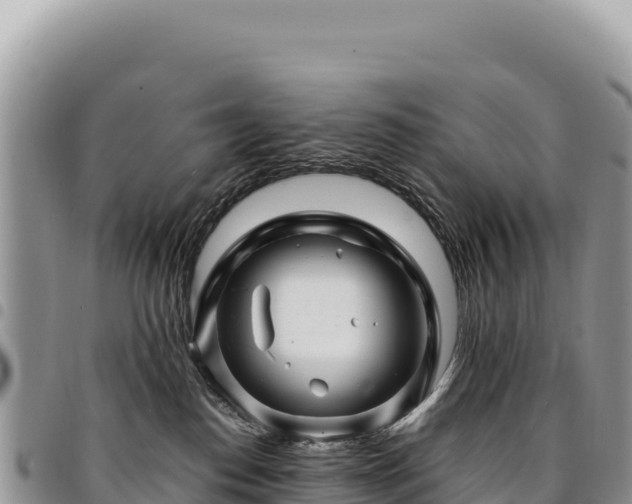 X0000094930186200711291343