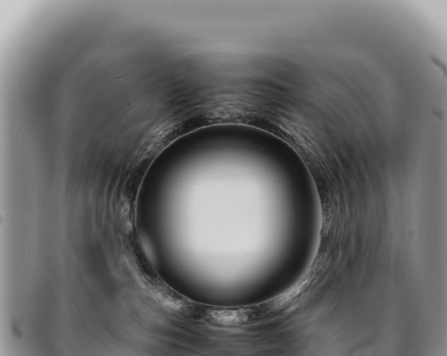 X0000094930187200711291343