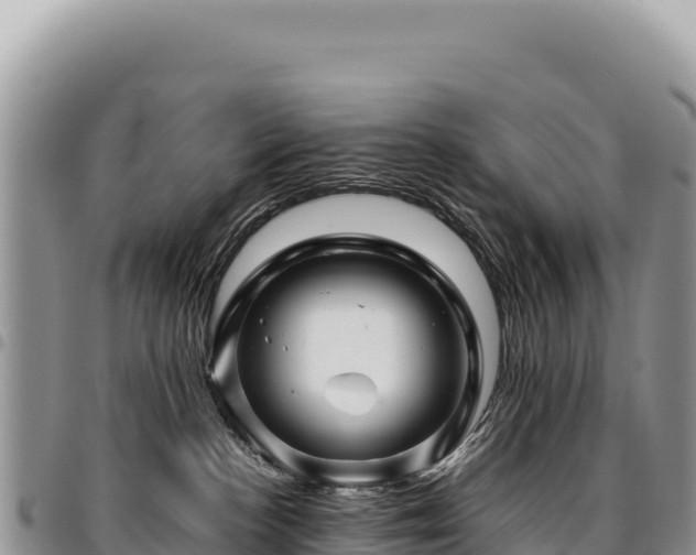 X0000094930188200711291343