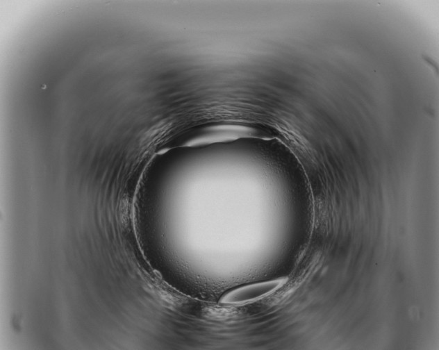 X0000094930189200711291343