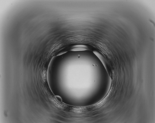 X0000094930190200711291343