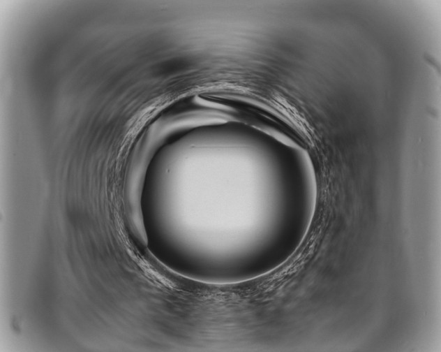 X0000094930193200711291342