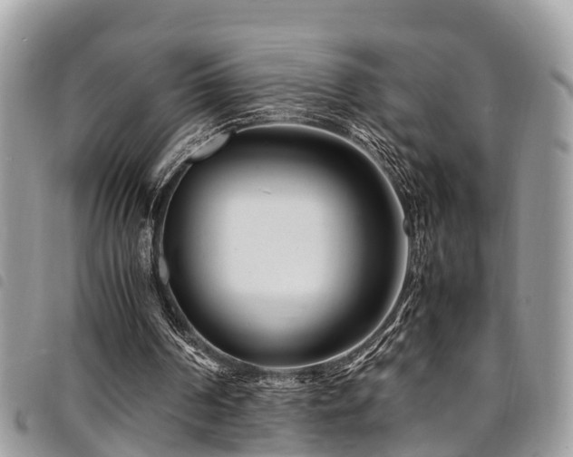 X0000094930194200711291342