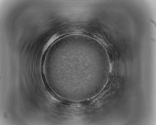 X0000094930195200711291342