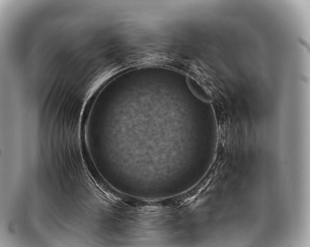 X0000094930196200711291342