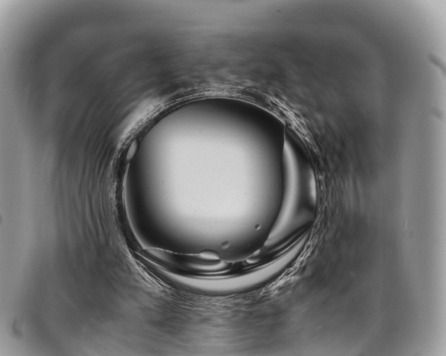 X0000094930197200711291342