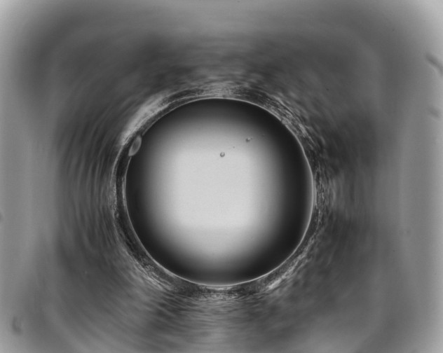 X0000094930198200711291342