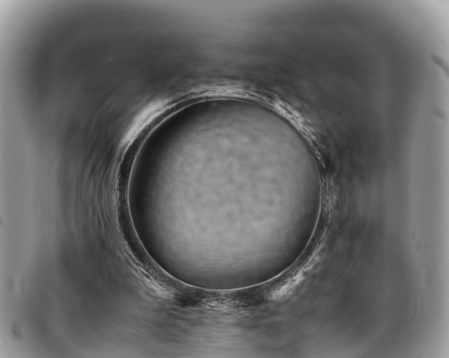 X0000094930199200711291342