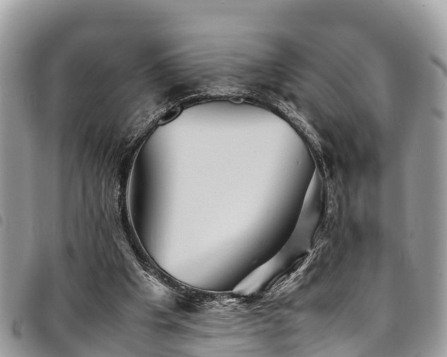 X0000094930201200711291342