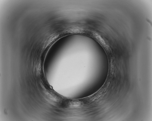 X0000094930202200711291342