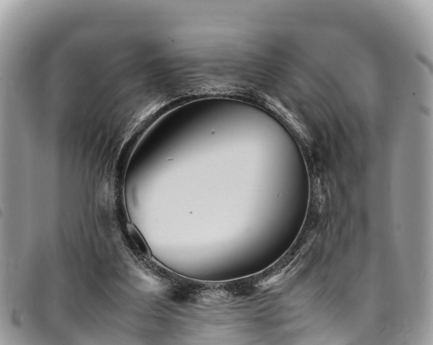 X0000094930203200711291342