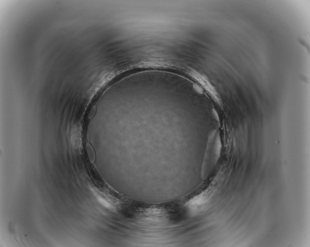 X0000094930204200711291342