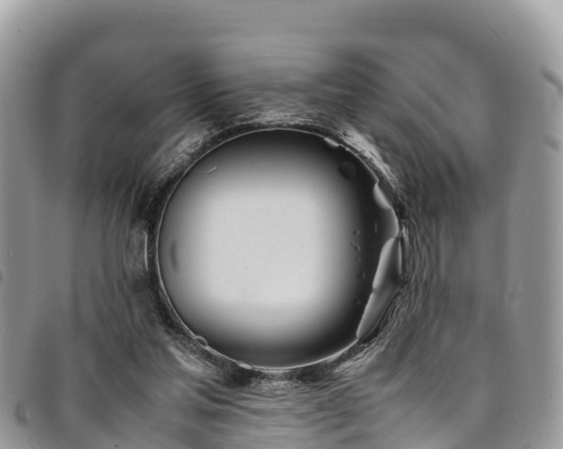 X0000094930205200711291342