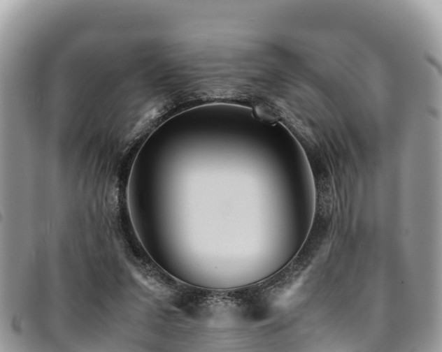 X0000094930207200711291342