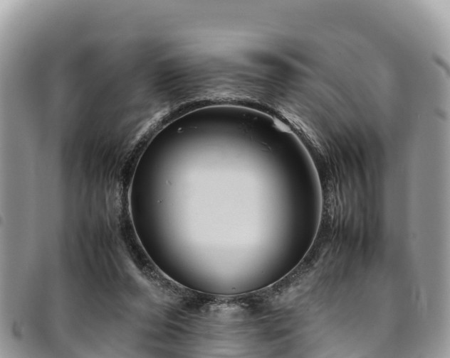 X0000094930208200711291342