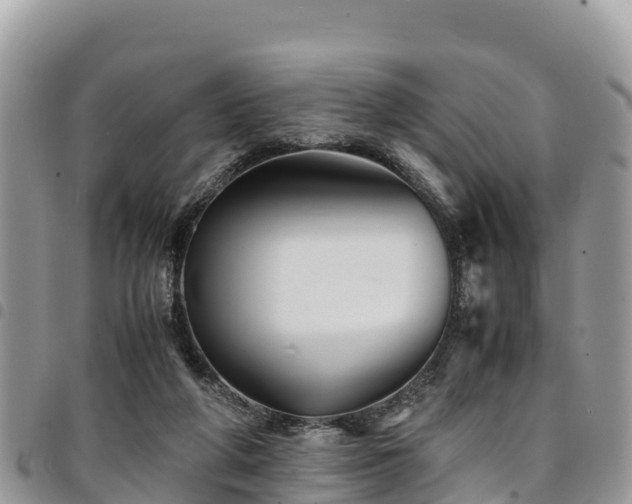 X0000094930210200711291342