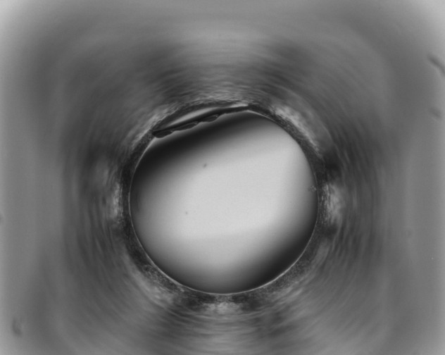 X0000094930212200711291342