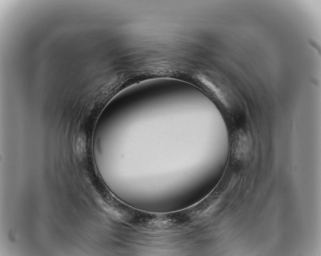 X0000094930213200711291342