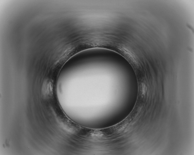 X0000094930214200711291342