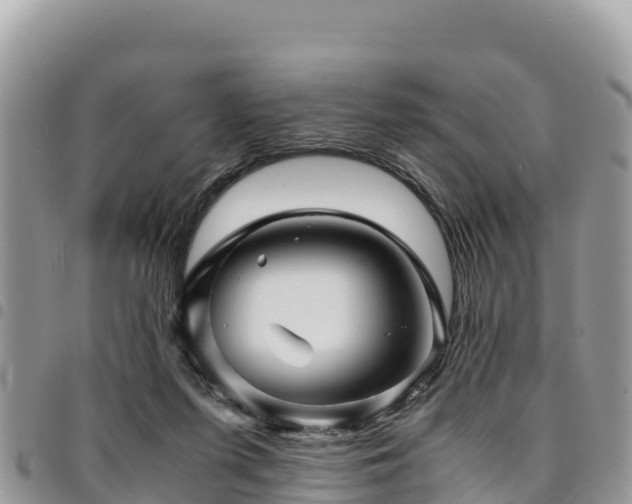 X0000094930215200711291342