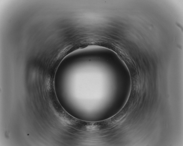 X0000094930216200711291342