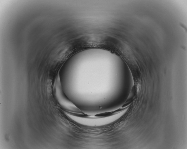 X0000094930221200711291342