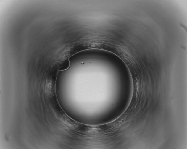 X0000094930222200711291342