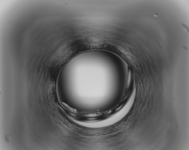 X0000094930225200711291342