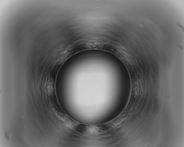 X0000094930226200711291342