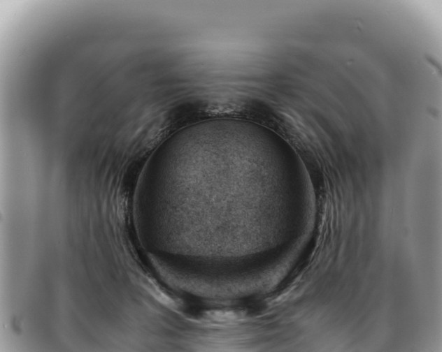 X0000094930227200711291342