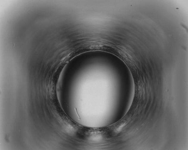 X0000094930228200711291342