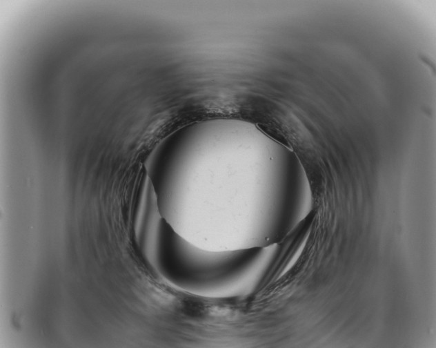 X0000094930229200711291342