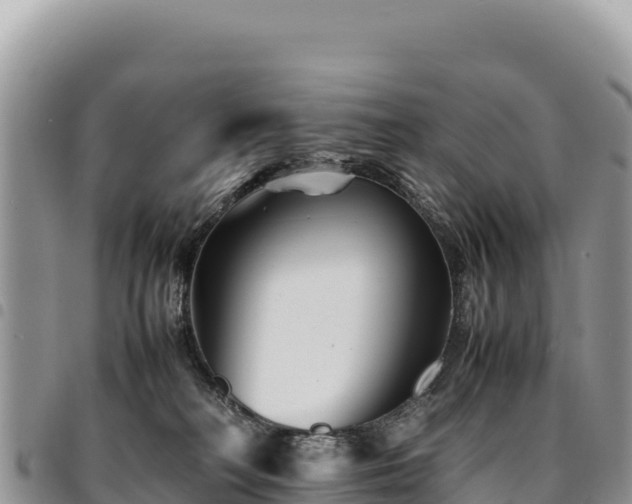 X0000094930230200711291342