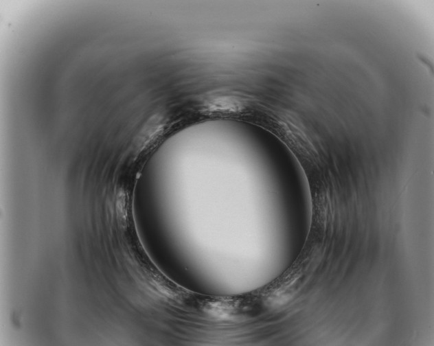 X0000094930232200711291341