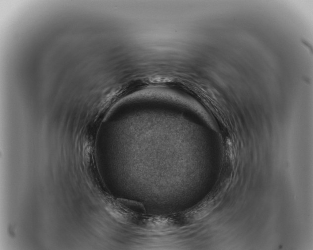 X0000094930235200711291341