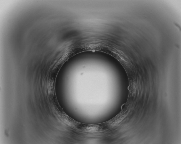 X0000094930236200711291341