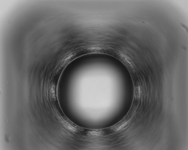 X0000094930238200711291341