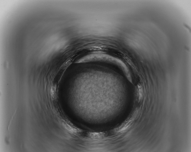 X0000094930239200711291341