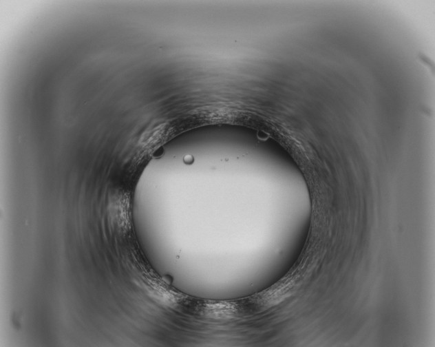 X0000094930240200711291341