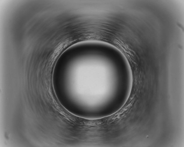 X0000094930241200711291341