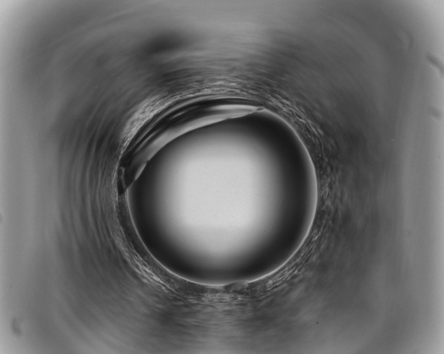 X0000094930242200711291341