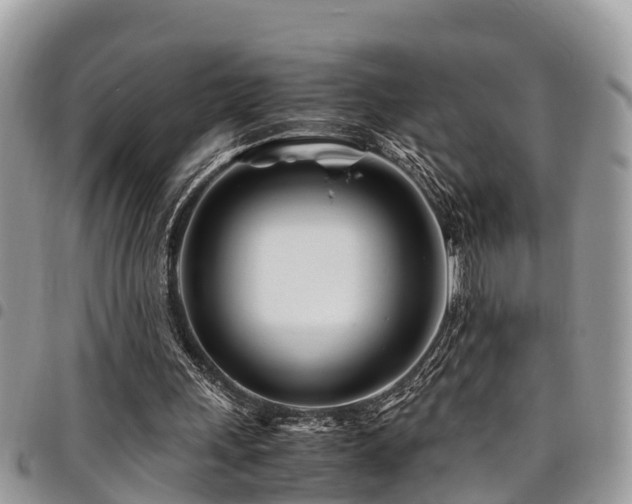X0000094930243200711291341