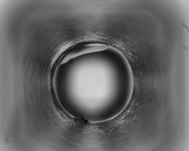 X0000094930244200711291341